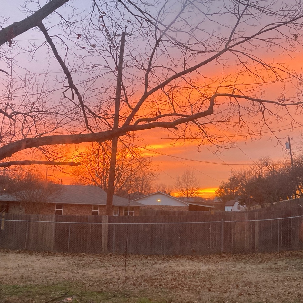 Bundle for @ckblack01